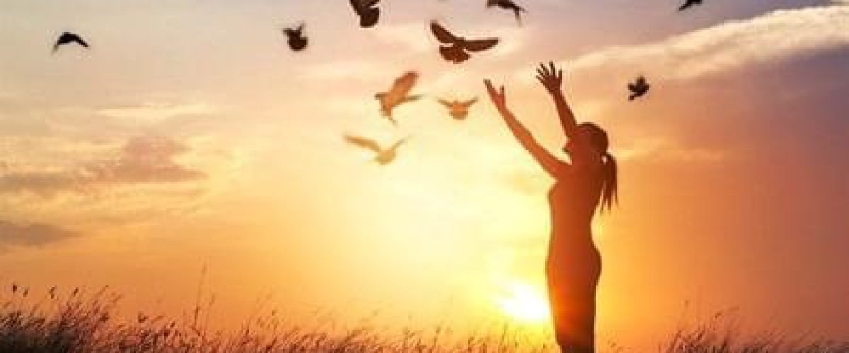 59409696_1805020332932894_8286203751891468288_n