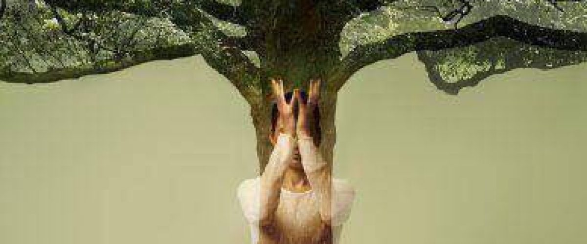 61861890_372434430052006_8783049395508609024_n